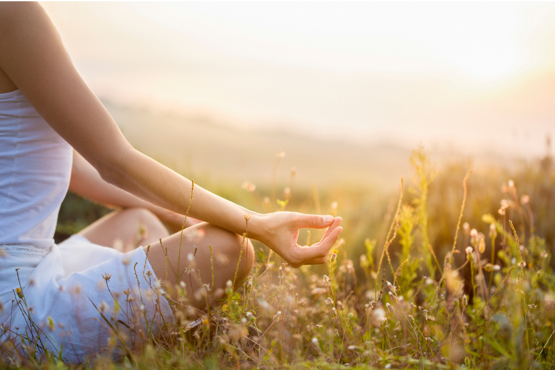 Holistic Consultations
